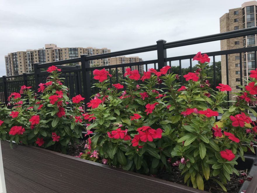 City Side Balcony Railing