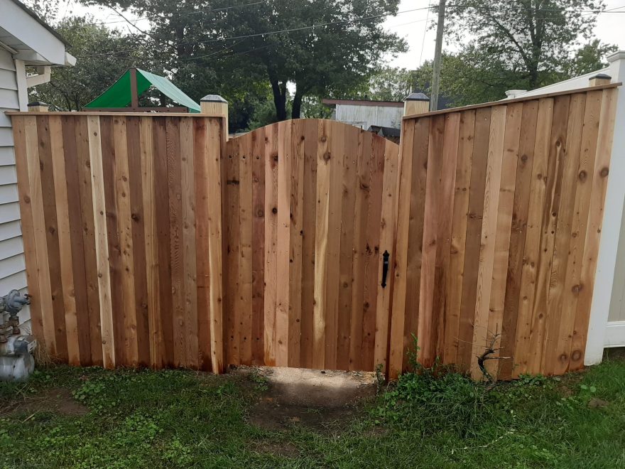 cedar vertical board fence - 20200918_101002